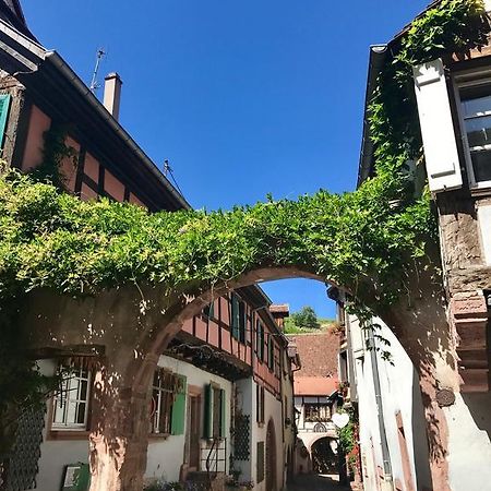 Les Authentics - La Maison D'Amelie Riquewihr Bagian luar foto