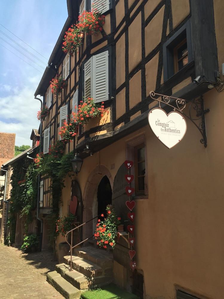 Les Authentics - La Maison D'Amelie Riquewihr Bagian luar foto