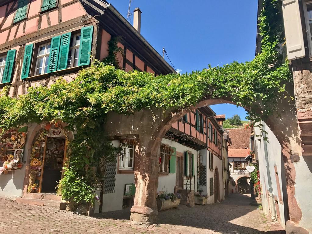 Les Authentics - La Maison D'Amelie Riquewihr Bagian luar foto
