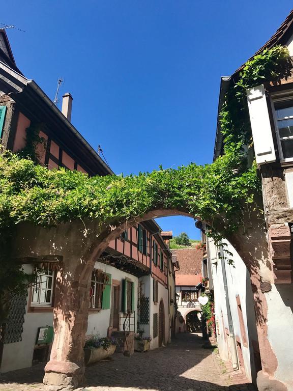 Les Authentics - La Maison D'Amelie Riquewihr Bagian luar foto