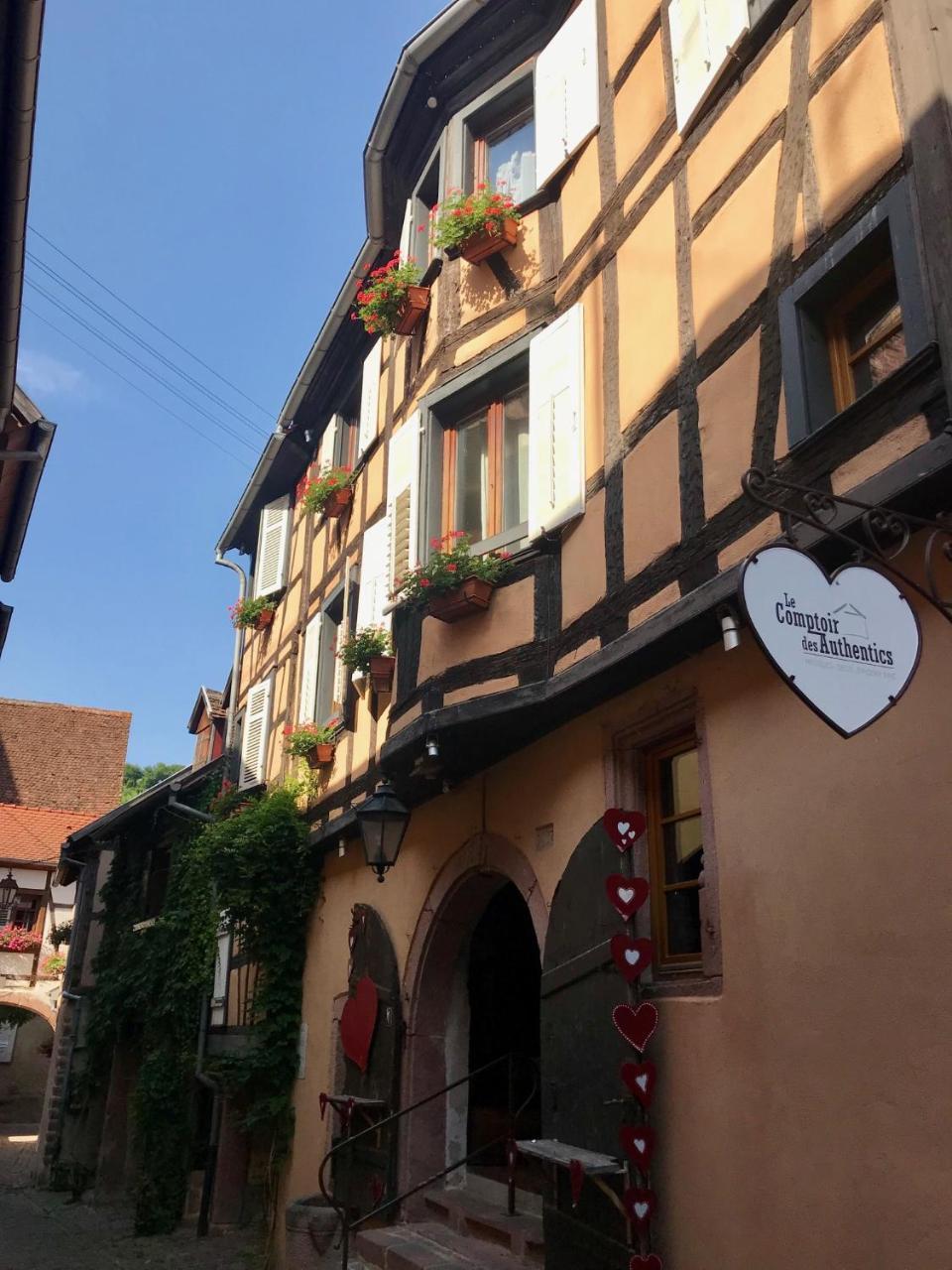 Les Authentics - La Maison D'Amelie Riquewihr Bagian luar foto